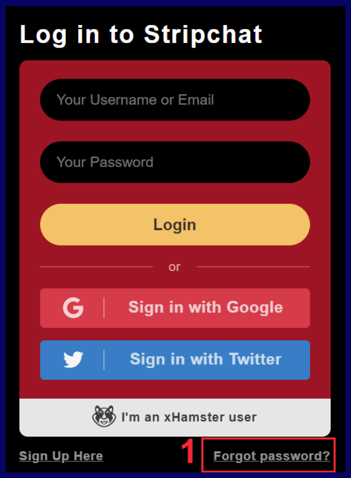 StripChat.com forgot password 