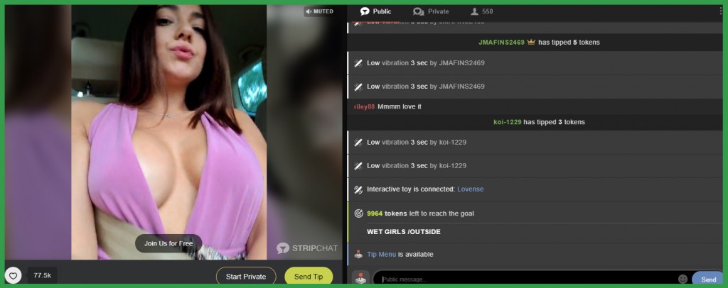 Chatting with Stripchat models