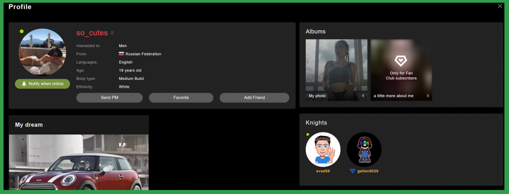 stripchat model withdraw earning
